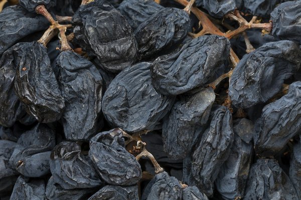 Which vineyards in Sussex allow you to participate in the wine-making process during the harvest?